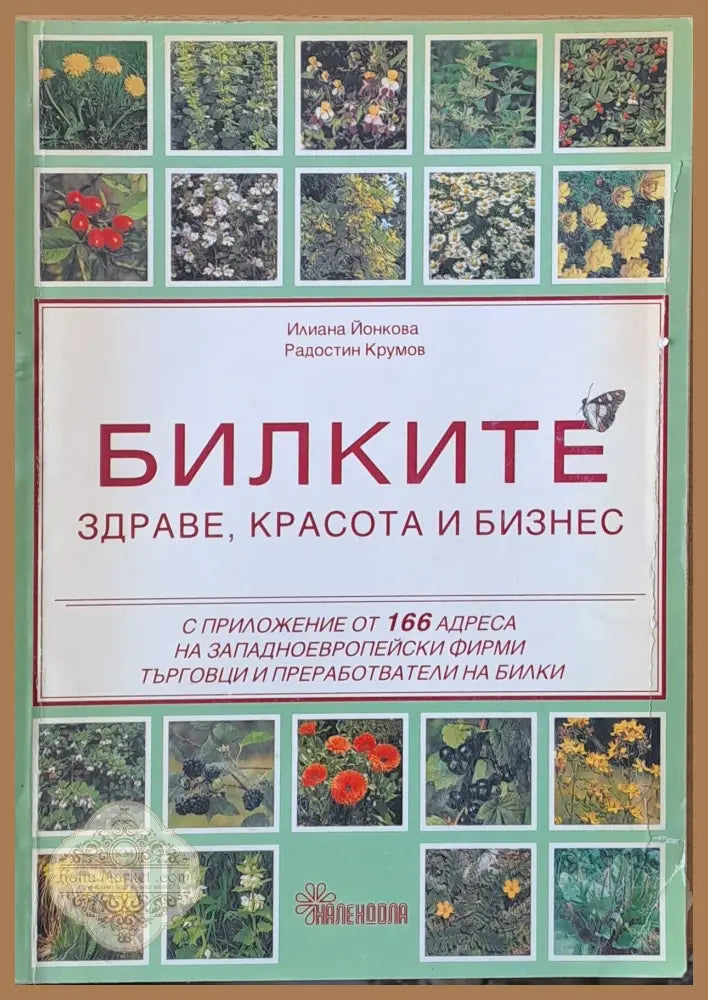 Билките - здраве красота и бизнес - Илиана Йонкова Радостин Крумов - Книги