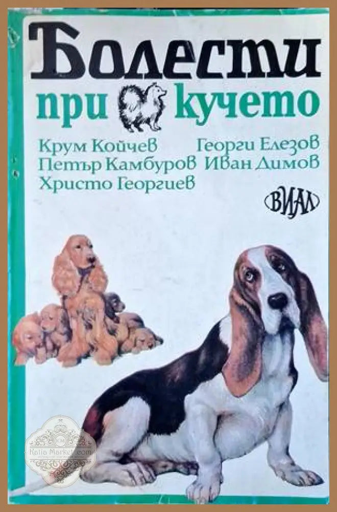Болести при кучето - Крум Койчев Георги Елезов Петър Камбуров Иван Димов Христо Георгиев - Книги