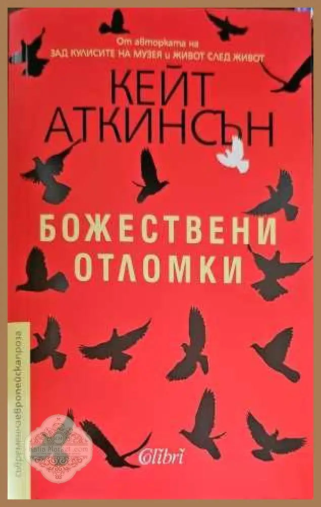 Божествени отломки - Кейт Аткинсън - Книги
