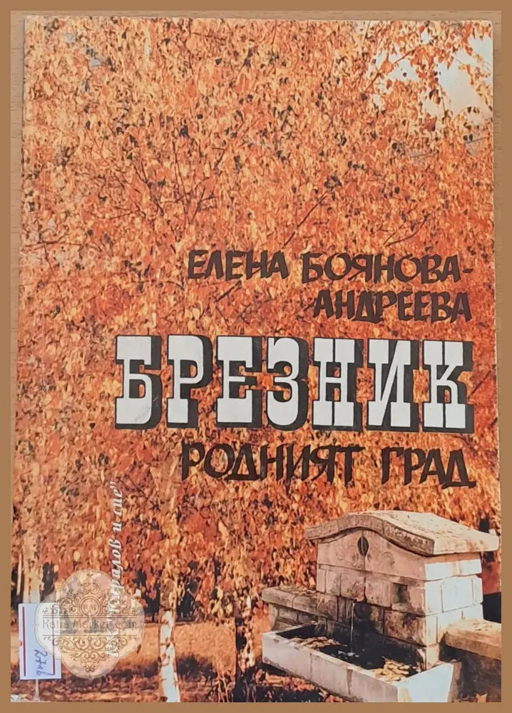 Брезник - родният град - Елена Боянова - Андреева - Книги