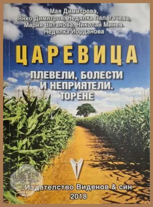 Царевица - корица