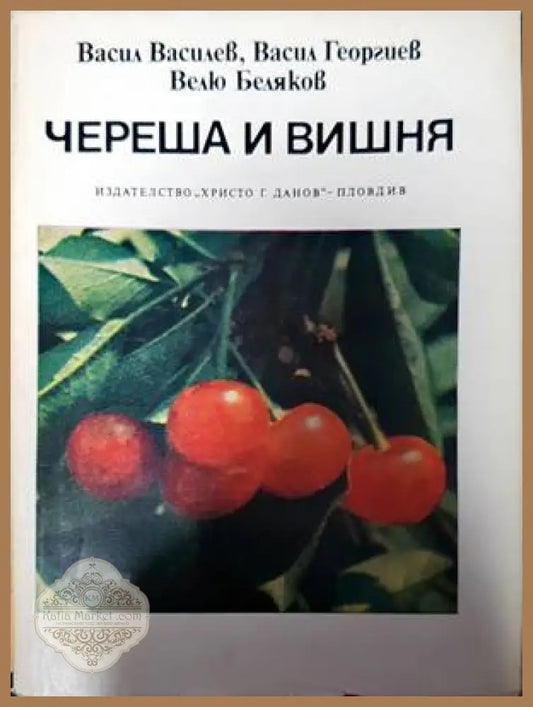 Череша и вишня - Васил Василев Васил Георгиев Велю Беляков - Книги