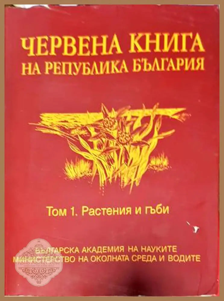 Червена книга на Република България. Том 1: Растения и гъби - Колектив - Книги