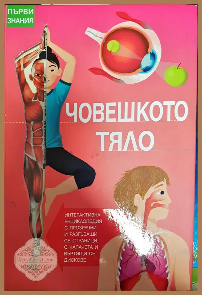 Човешкото тяло - Колектив - Книга