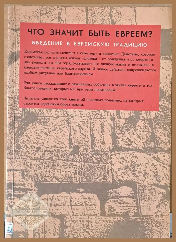 Что значит быть Евреем? Введение в Еврейскую традицию - Менаше-Гад Рашовскию - Книги
