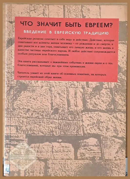 Что значит быть Евреем? Введение в Еврейскую традицию - Менаше-Гад Рашовскию - Книги