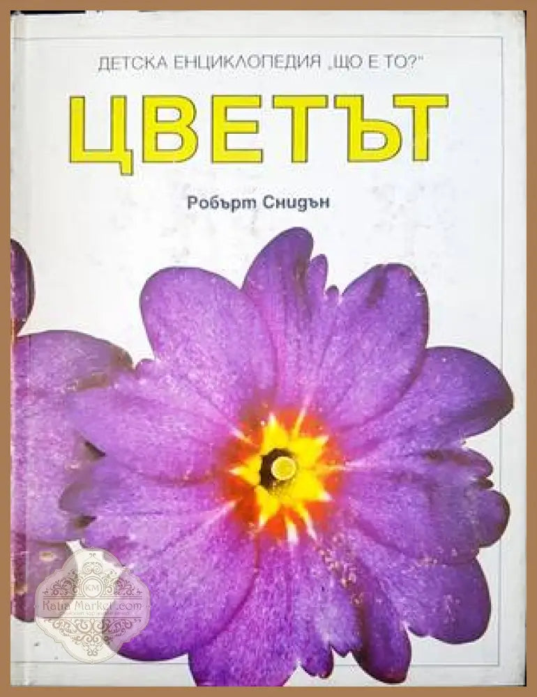 Цветът - Робърт Синдън - Книги