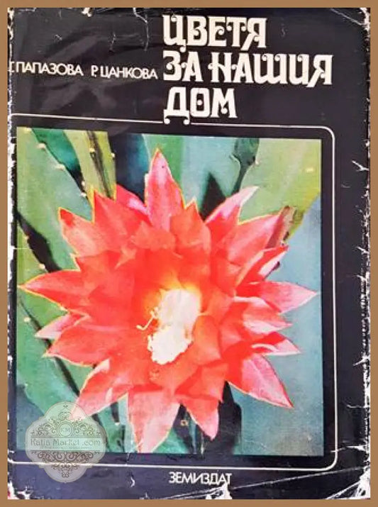 Цветя за нашия дом - Гена Папазова Радка Цанкова - Книги