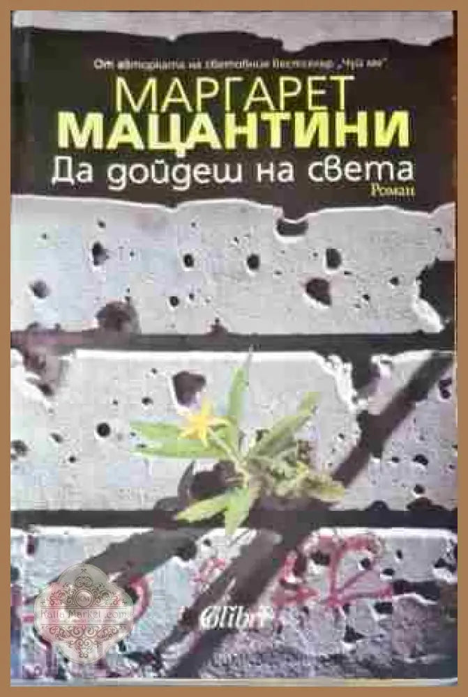 Да дойдеш на света - Маргарет Мацантини - Книги