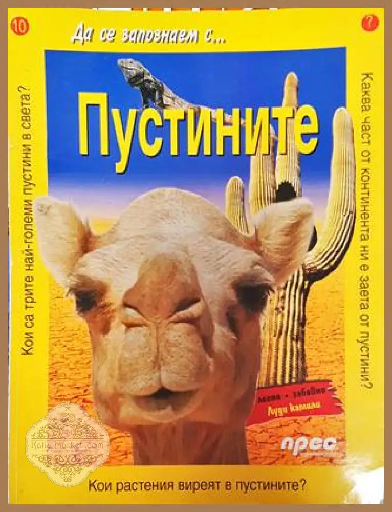 Да се запознаем с... Пустините - Никола Дейвис - Книга