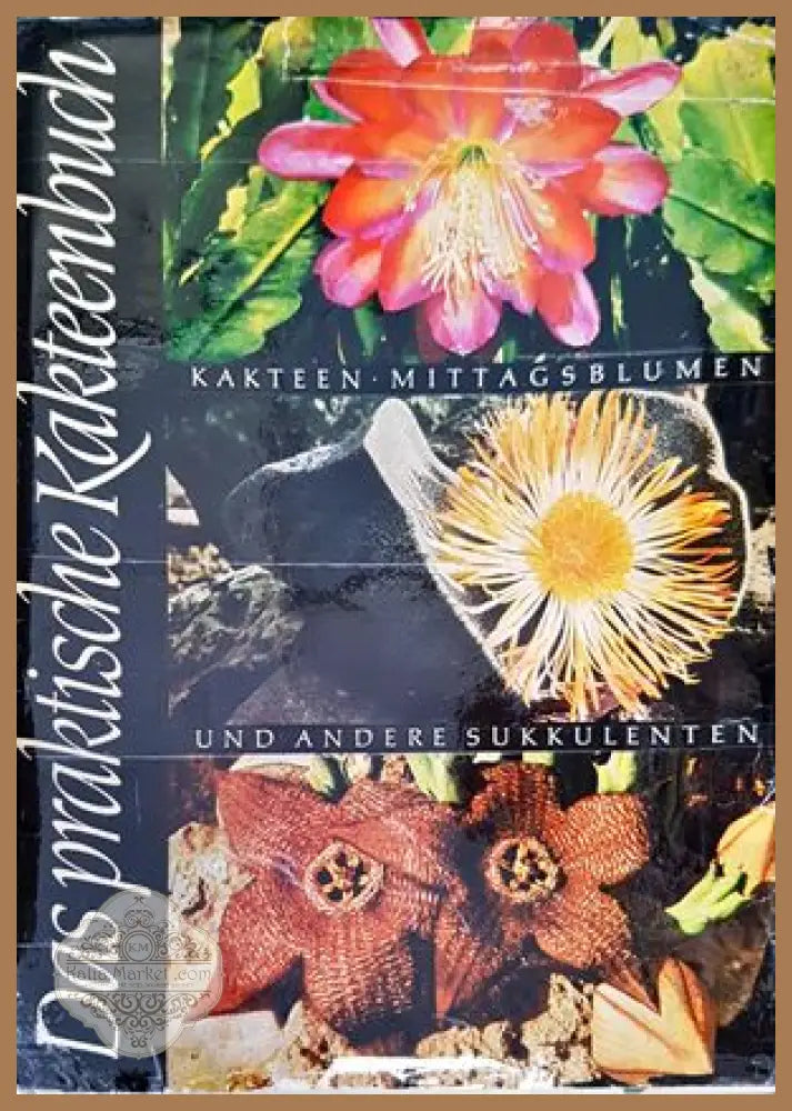 Das praktische Kakteenbuch in Farben - Walther Haage - Книги