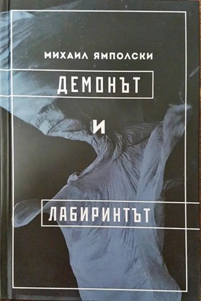 Демонът и лабиринтът (858) - Книга