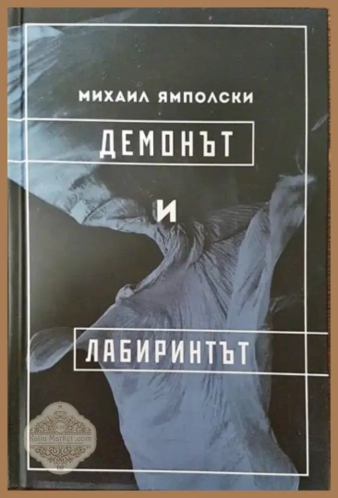 Демонът и лабиринтът (858) - Книга