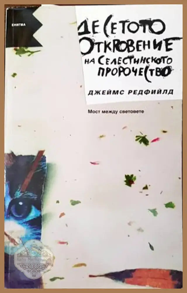 Десетото откровение от Селестинското пророчесто: Мост между световете (4912) - Книга
