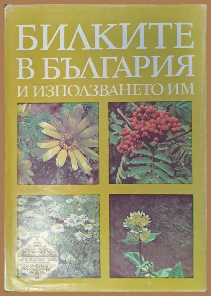 Дипак чопра - Рудолф Е. Танзи - Книги