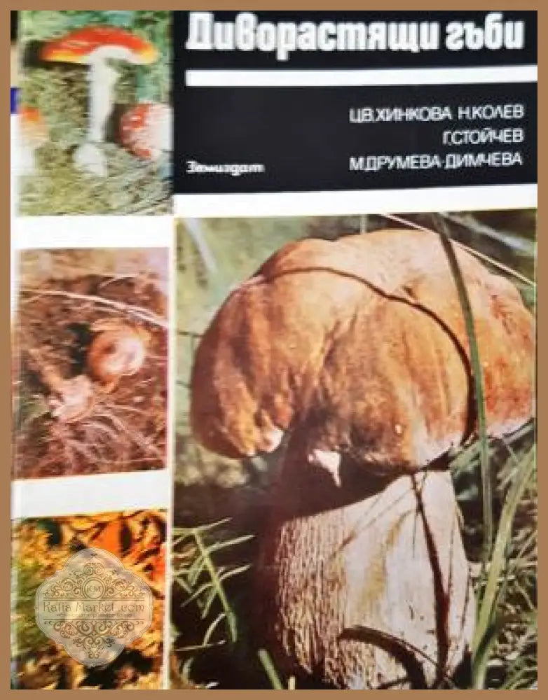 Диворастящи гъби - Ц. Хинкова Н. Колев Г. Стойчев М. Друмева-Димчева - Книга