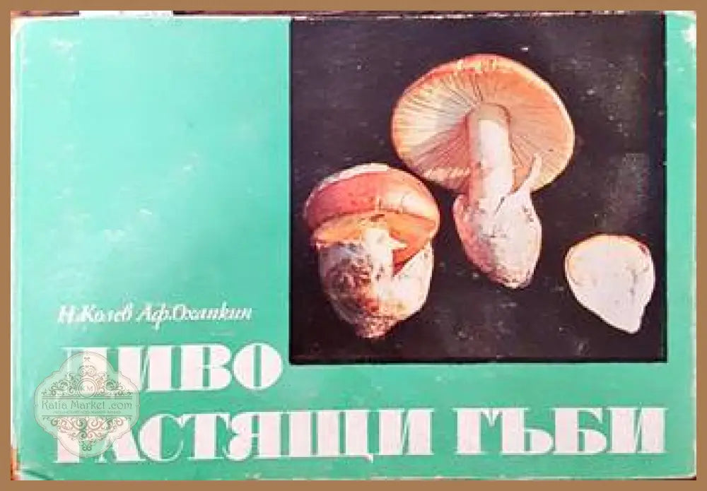 Диворастящи гъби - Никола Колев Афанасий Охапкин - Книги