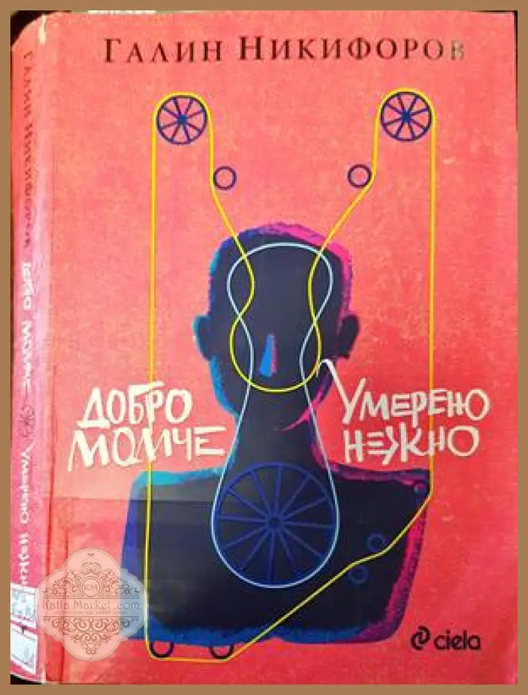 Добро момче; Умерено нежно - Галин Никифоров - Книги