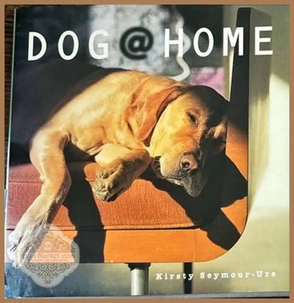 Dog Home - Kirsty Seymour-Ure - Книги