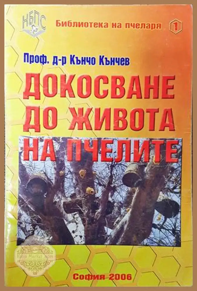 Докосване до живота на пчелите - Кънчо Кънев - Книга