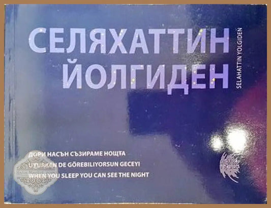 Дори насън съзираме нощта - Селяхатин Йолгиден - Книги