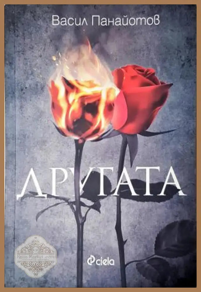 Другата - Васил Панайотов - Книга