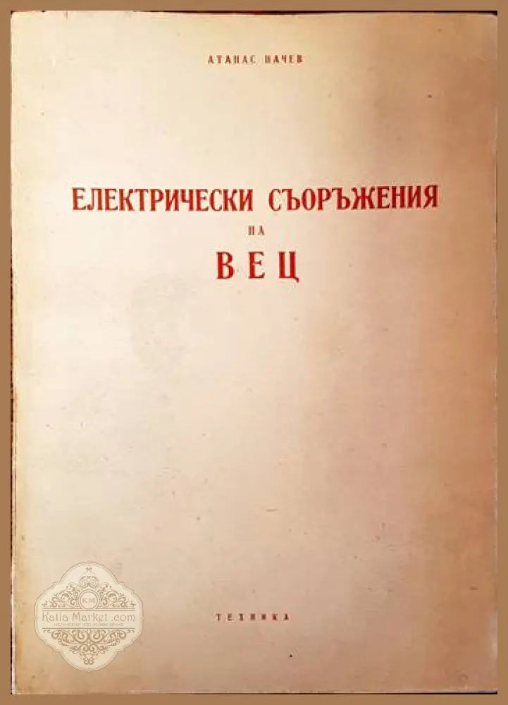 Електрически съоръжения на ВЕЦ - Атанас Начев Ernst and Young - Книги