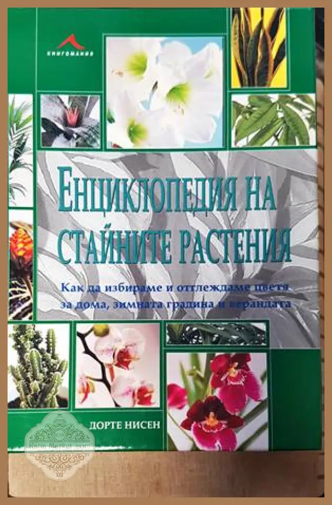 Енциклопедия на стайните растения - Дорте Нисен - Книги