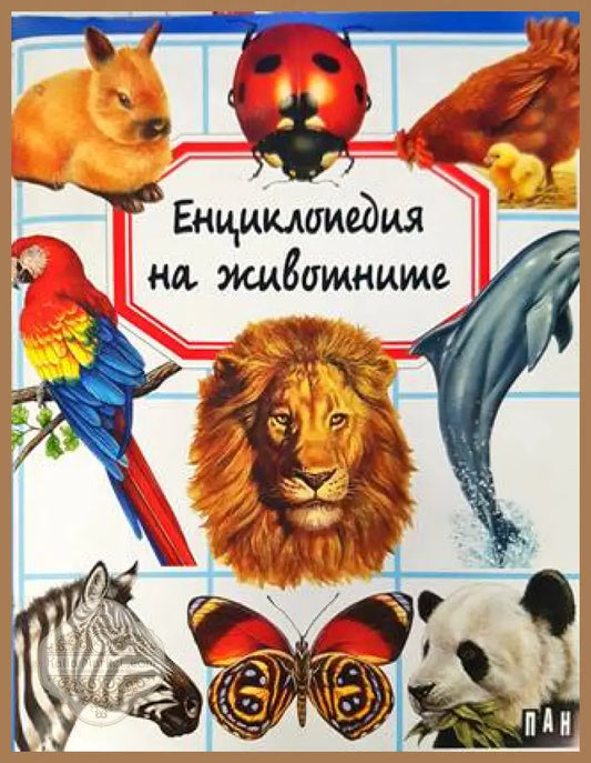 Енциклопедия на животните - Емили Бомен - Книга