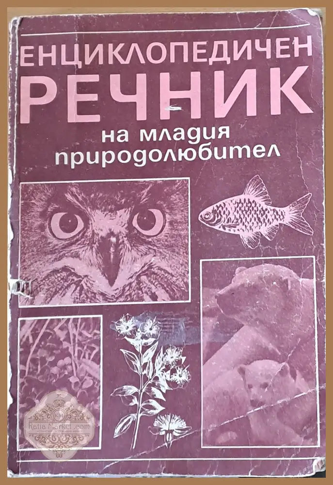 Енциклопедичен речник на младия природолюбител - Авторски колектив Ernst and Young - Книги
