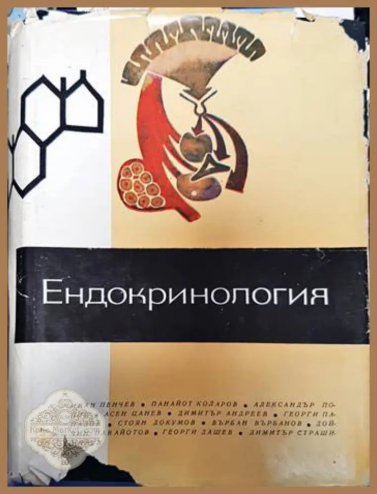 Ендокринология - Колектив - Книги