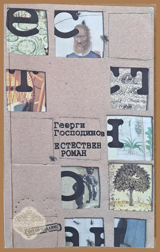 Естествен роман - Георги Господинов - Книги