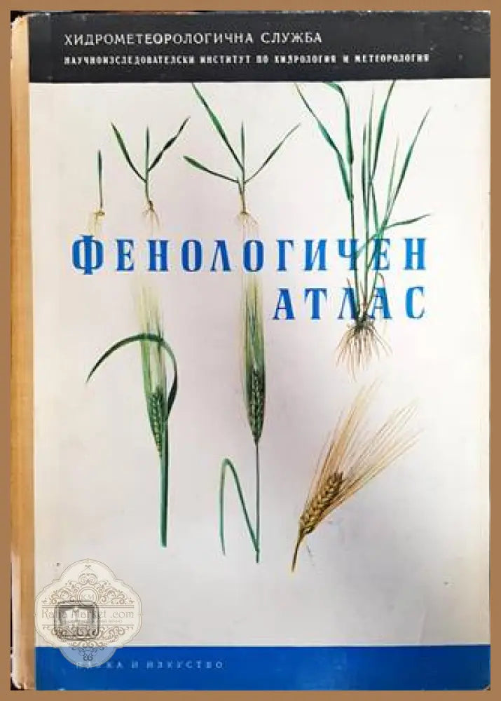 Фенологичен атлас - Колектив - Книги