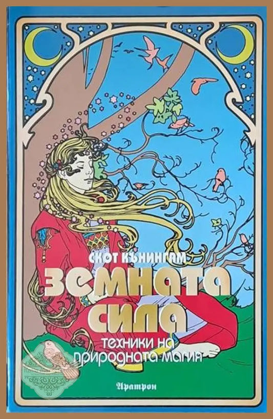 Феноменът Царичина - Цветко Кънев - Книги