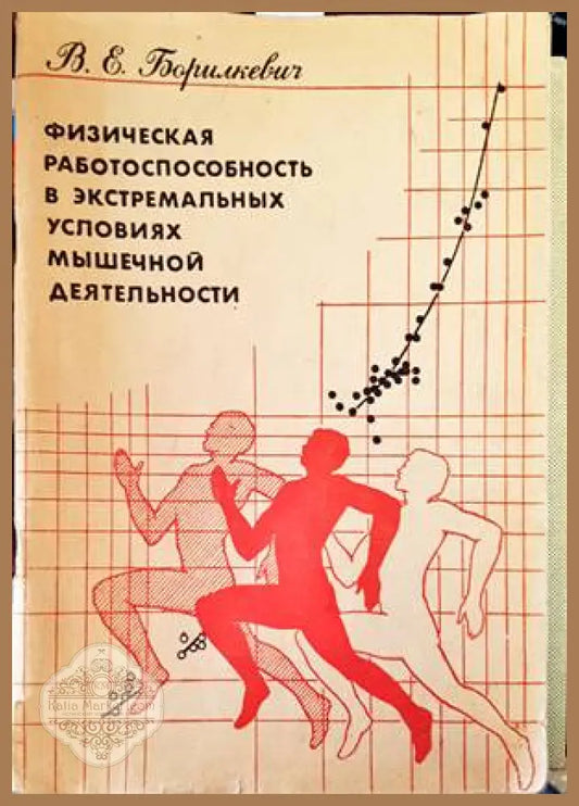 Физическая работоспособность в экстремальных условиях мышечной деятельности - В.Е.Борилкевич - Книги