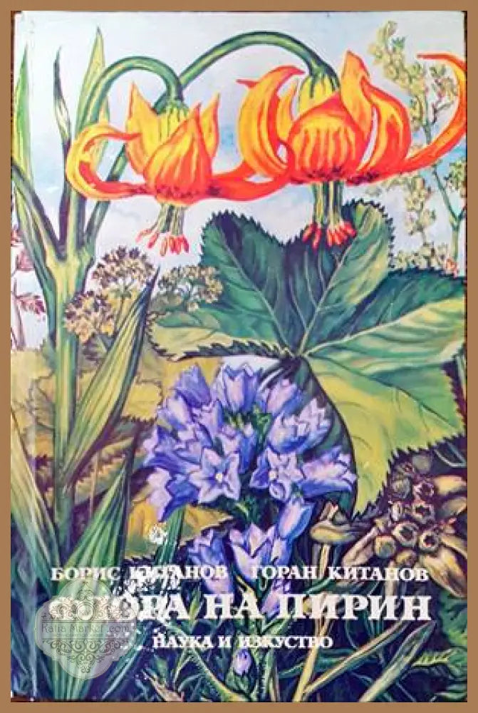 Флора на Пирин - Борис Китанов Горан Китанов - Книги