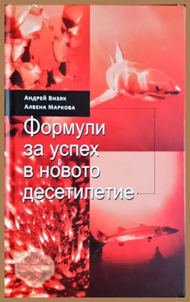 Формули за успех в новото десетилетие - Андрей Визяк Албена Маркова - Книги