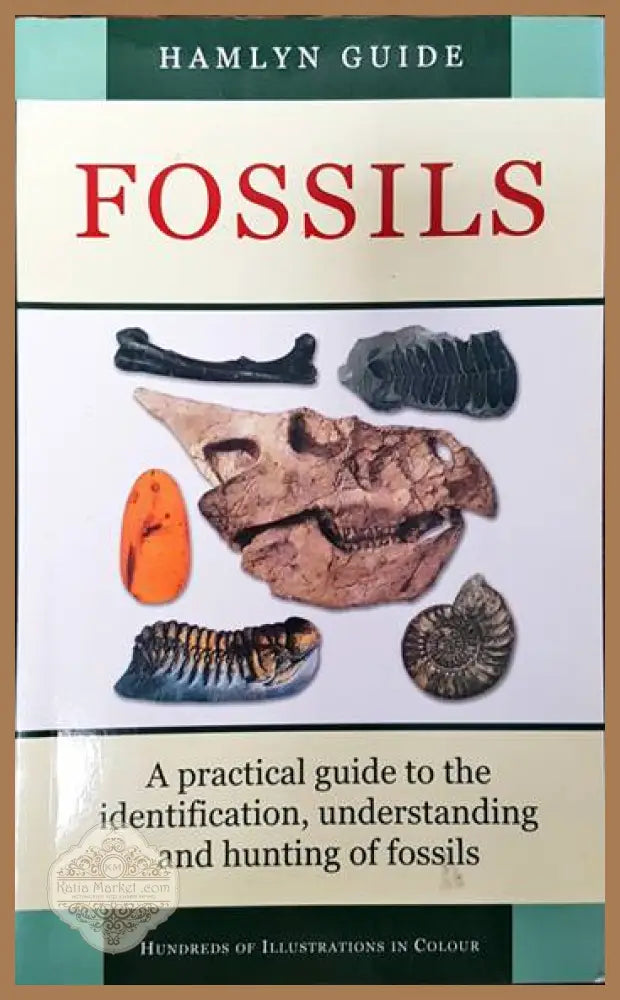 Fossils - Cyril Walker David Ward - Книги
