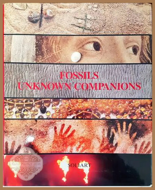 Fossils Unknown Companions - Annoscia Enrico - Книги
