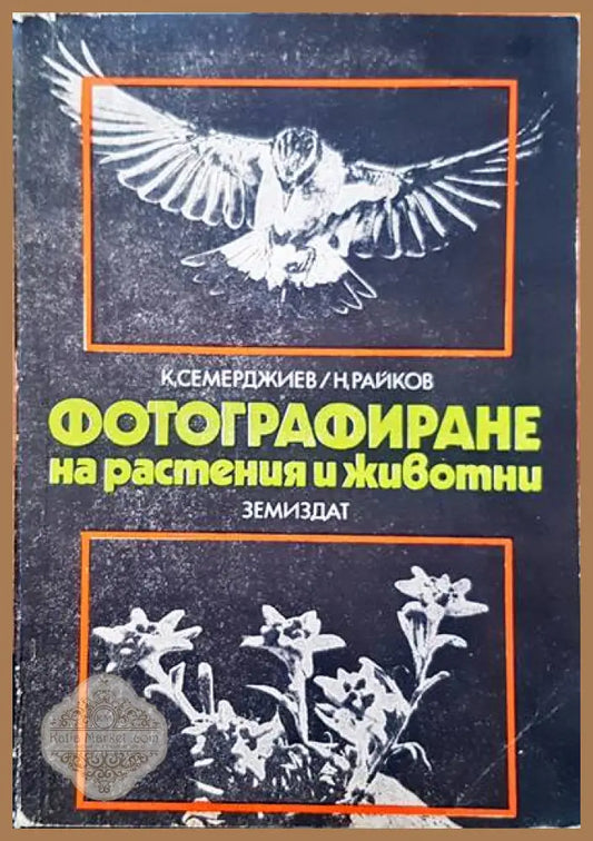 Фотографиране на растения и животни - К. Семерджиев Н. Райков - Книги