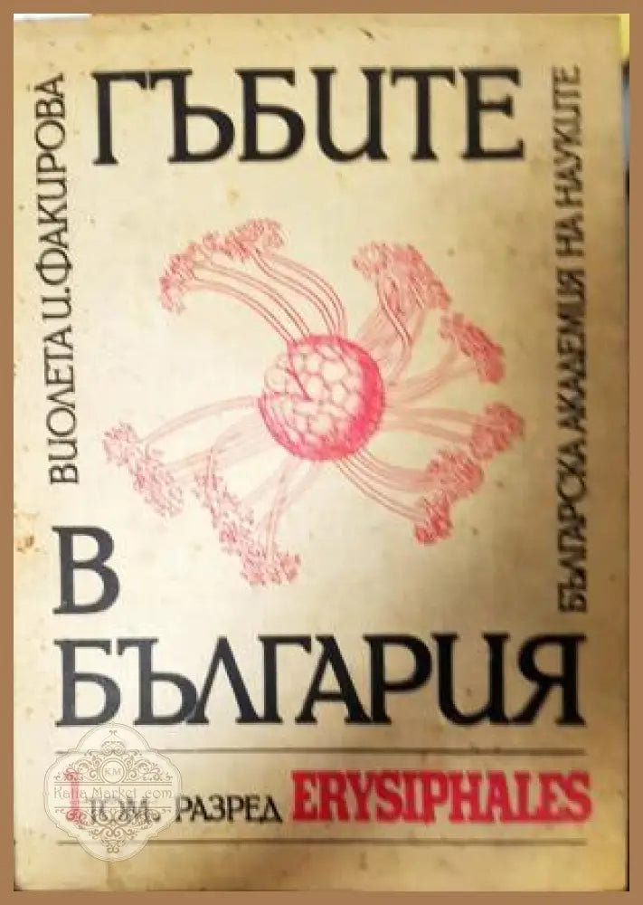 Гъбите в България. Том 1: Разред ERYSIPHALES - Виолета И. Факирова - Книга