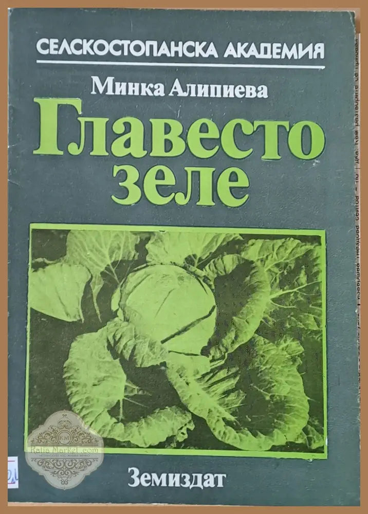Главесто зеле - Минка Алипиева - Книги