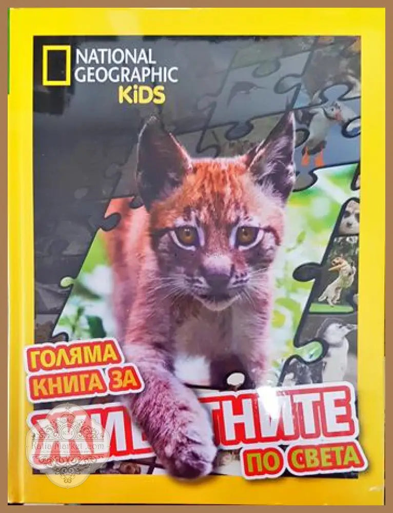 Голяма книга за животните по света - Колектив - Книги