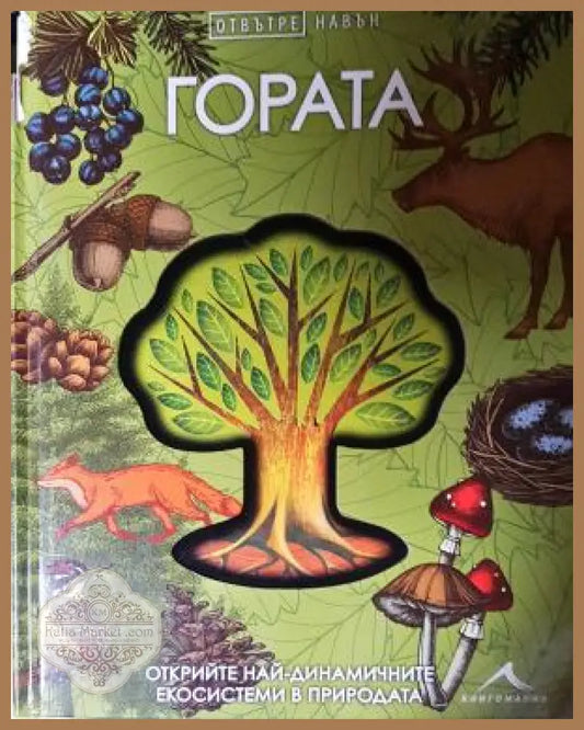 Гората. Отвътре навън - Книга