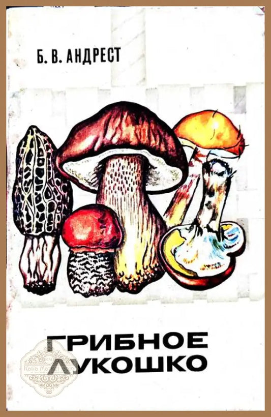 Грибное лукошко - Б. В. Андрест - Книги
