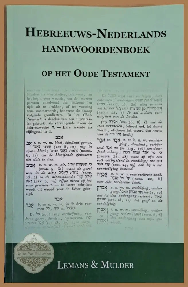 Hebreeuws-Nederlands Handwoordenboek Op Het Oude Testament - Lemans and Mulder Ernst and Young - Книги