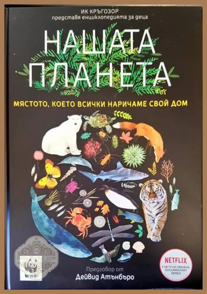 Хроники. Пътуване през историята (406) - Книга