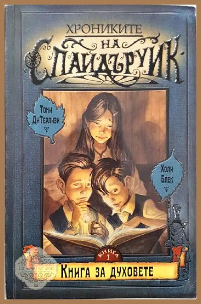 Хрониките на Спайдъруик. Книга 1-4 - Тони ДиТерлизи Холи Блек - Книги