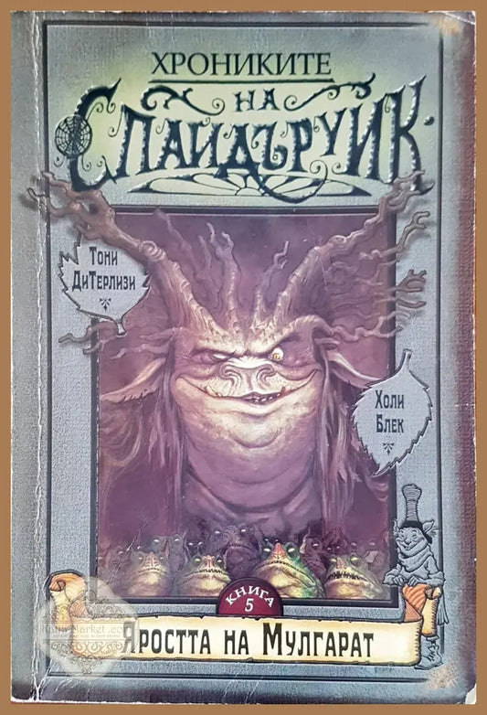 Хрониките на Спайдъруик - Тони ДиТерлизни Холи Блек - Книги