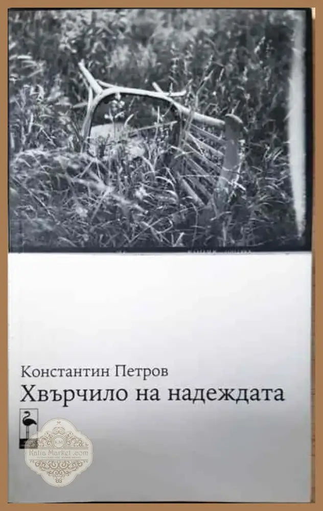 Хвърчило на надеждата - Книга